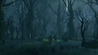 Swamp