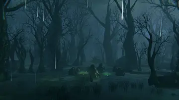 Swamp