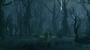 Swamp