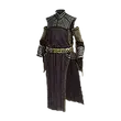 Dragon's Dogma 2 Animistic Robe.webp