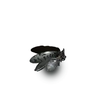 Silver Firefly
