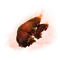 Elden-ring smoldering-butterfly.webp
