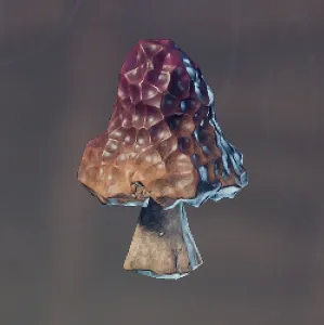 Grilled Red Mushroom