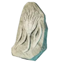 Larger Sea Lily Fossil