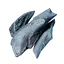Petrified Shroud Stalker Shell