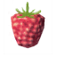 Raspberries