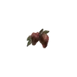 Dragon's Dogma 2 Rotten Strawberry.webp