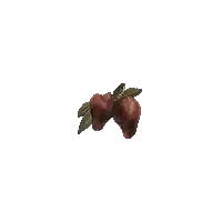 Rotten Strawberry
