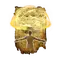 Elden-ring heal-from-afar.webp