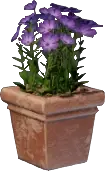 Pink Flower Pot (Square)