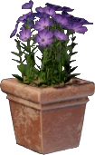 Pink Flower Pot (Square)