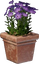 Pink Flower Pot (Square)