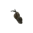 Dragon's Dogma 2 Rotten Harspud.webp