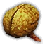 Drowner Brain