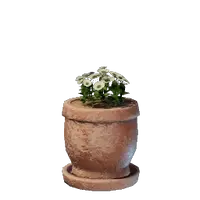 Medium White Flower Pot