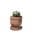 Medium White Flower Pot