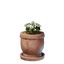Medium White Flower Pot