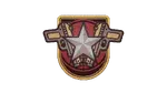 Pistol Certification Skill.webp