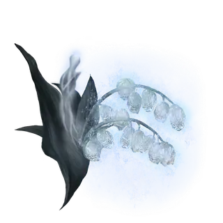 Ghost Glovewort [8]