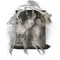 Elden-ring tibias-summons.webp