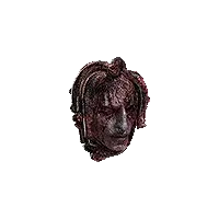 Medusa Head