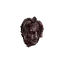 Medusa Head