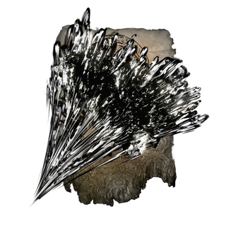 Scouring Black Flame