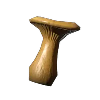 Chanterelle Seedling