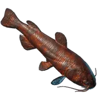 Grilled Whiskerfin