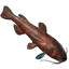 Grilled Whiskerfin