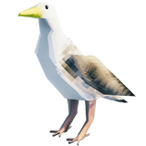 Gull