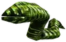 Leech