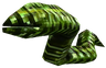 Leech