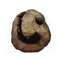 Elden-ring prattling-pate-my-beloved.webp