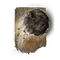 Elden-ring stone-of-gurranq.webp
