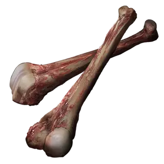 Hefty Beast Bone