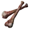 Elden-ring hefty-beast-bone.webp