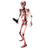 Skeleton