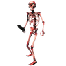 Skeleton