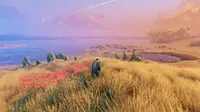 Plains