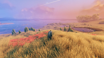 Plains