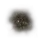 Elden-ring prince-of-deaths-pustule.webp