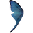 Blue Butterfly Wing