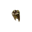 Dragon's Dogma 2 Putrid Gold Tooth.webp