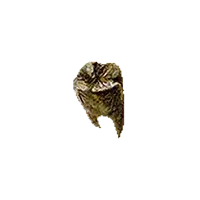 Putrid Gold Tooth