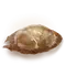 Elden-ring serpents-amnion.webp