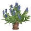Indigo Plant Pot