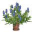 Indigo Plant Pot