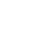 Terminal Velocity