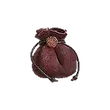 Dragon's Dogma 2 Miracle Roborant.webp